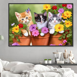 Katze 5d Diy Diamond Painting Diamant Malerei Set MJ1054