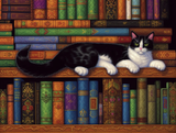 Katze 5d Diy Diamond Painting Diamant Malerei Set MJ1058