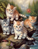 Katze 5d Diy Diamond Painting Diamant Malerei Set MJ1084