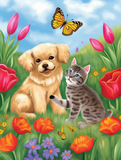 Katze 5d Diy Diamond Painting Diamant Malerei Set MJ1094