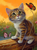 Katze 5d Diy Diamond Painting Diamant Malerei Set MJ1095