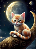 Katze 5d Diy Diamond Painting Diamant Malerei Set MJ1105