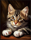 Katze 5d Diy Diamond Painting Diamant Malerei Set MJ1148