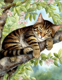 Katze 5d Diy Diamond Painting Diamant Malerei Set MJ1154
