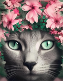 Katze 5d Diy Diamond Painting Diamant Malerei Set MJ1183