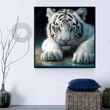Tiger 5d Diy Diamond Painting Diamant Malerei Set MJ1186