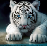 Tiger 5d Diy Diamond Painting Diamant Malerei Set MJ1186