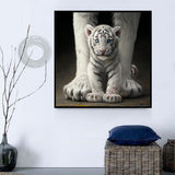 Tiger 5d Diy Diamond Painting Diamant Malerei Set MJ1196