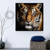 Tiger 5d Diy Diamond Painting Diamant Malerei Set MJ1202