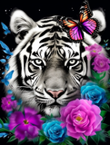 Tiger 5d Diy Diamond Painting Diamant Malerei Set MJ1223