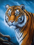 Tiger 5d Diy Diamond Painting Diamant Malerei Set MJ1242