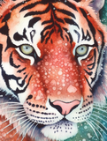 Tiger 5d Diy Diamond Painting Diamant Malerei Set MJ1244