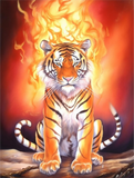 Tiger 5d Diy Diamond Painting Diamant Malerei Set MJ1248