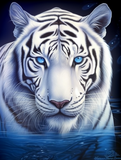 Tiger 5d Diy Diamond Painting Diamant Malerei Set MJ1267