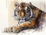 Tiger 5d Diy Diamond Painting Diamant Malerei Set MJ1287