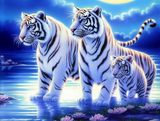 Tiger 5d Diy Diamond Painting Diamant Malerei Set MJ1288