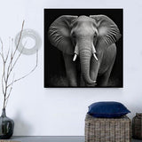 Elefant 5d Diy Diamond Painting Diamant Malerei Set MJ1307