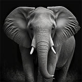 Elefant 5d Diy Diamond Painting Diamant Malerei Set MJ1307