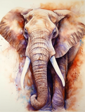 Elefant 5d Diy Diamond Painting Diamant Malerei Set MJ1317