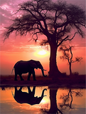 Elefant 5d Diy Diamond Painting Diamant Malerei Set MJ1328
