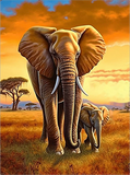 Elefant 5d Diy Diamond Painting Diamant Malerei Set MJ1335