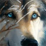 Wolf 5d Diy Diamond Painting Diamant Malerei Set MJ1395