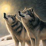 Wolf 5d Diy Diamond Painting Diamant Malerei Set MJ1397
