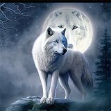 Wolf 5d Diy Diamond Painting Diamant Malerei Set MJ1404