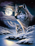 Wolf 5d Diy Diamond Painting Diamant Malerei Set MJ1419