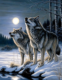 Wolf 5d Diy Diamond Painting Diamant Malerei Set MJ1420