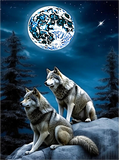 Wolf 5d Diy Diamond Painting Diamant Malerei Set MJ1437