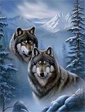 Wolf 5d Diy Diamond Painting Diamant Malerei Set MJ1440