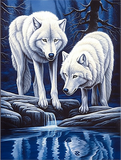 Wolf 5d Diy Diamond Painting Diamant Malerei Set MJ1442