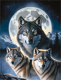 Wolf 5d Diy Diamond Painting Diamant Malerei Set MJ1444