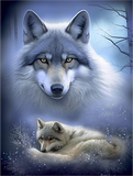 Wolf 5d Diy Diamond Painting Diamant Malerei Set MJ1445