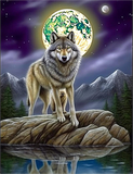 Wolf 5d Diy Diamond Painting Diamant Malerei Set MJ1472