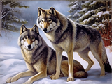 Wolf 5d Diy Diamond Painting Diamant Malerei Set MJ1487