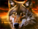 Wolf 5d Diy Diamond Painting Diamant Malerei Set MJ1489