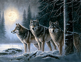 Wolf 5d Diy Diamond Painting Diamant Malerei Set MJ1493