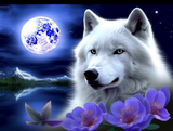 Wolf 5d Diy Diamond Painting Diamant Malerei Set MJ1496