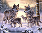 Wolf 5d Diy Diamond Painting Diamant Malerei Set MJ1498