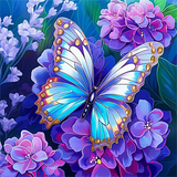 Schmetterling 5d Diy Diamond Painting Diamant Malerei Set MJ1510