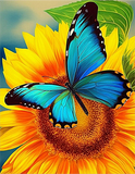 Schmetterling 5d Diy Diamond Painting Diamant Malerei Set MJ1542