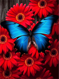 Schmetterling 5d Diy Diamond Painting Diamant Malerei Set MJ1543