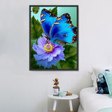 Schmetterling 5d Diy Diamond Painting Diamant Malerei Set MJ1553