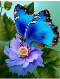 Schmetterling 5d Diy Diamond Painting Diamant Malerei Set MJ1553
