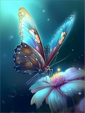 Schmetterling 5d Diy Diamond Painting Diamant Malerei Set MJ1555