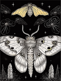 Schmetterling 5d Diy Diamond Painting Diamant Malerei Set MJ1558