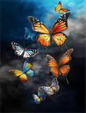 Schmetterling 5d Diy Diamond Painting Diamant Malerei Set MJ1560