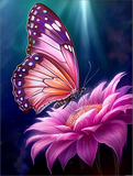 Schmetterling 5d Diy Diamond Painting Diamant Malerei Set MJ1566
